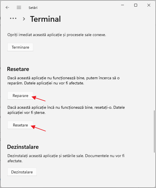 Reparare si resetare Windows Terminal