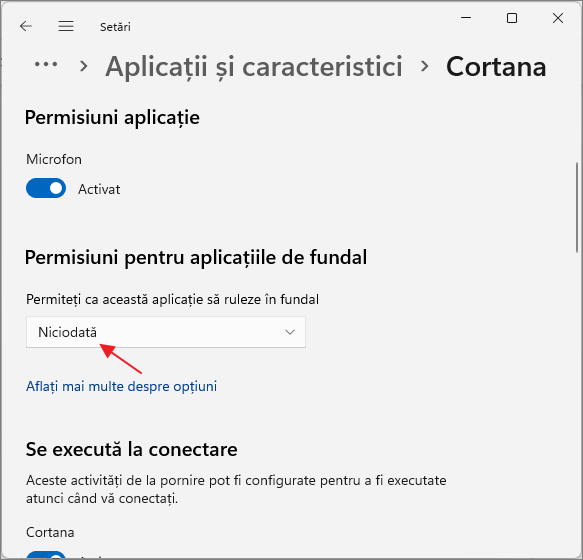 Dezactiveaza rularea aplicatiilor in fundal in setari Windows 11