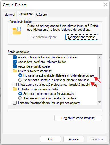 Afiseaza sau ascunde fisiere ascunse si de sistem Windows 11 in optiuni explorer