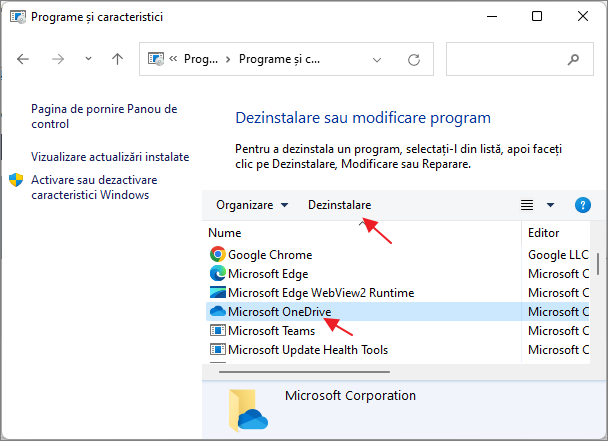 Eliminarea completa OneDrive in Panou de control Windows 11