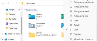 Optiunile de vizualizare in explorer Windows 11
