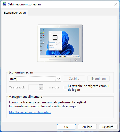 Optiuni economizor ecran Windows 11