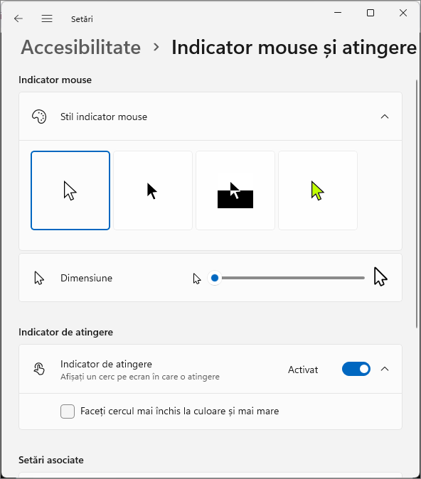 Setari de accesibilitate pentru indicatorul mouse-ului
