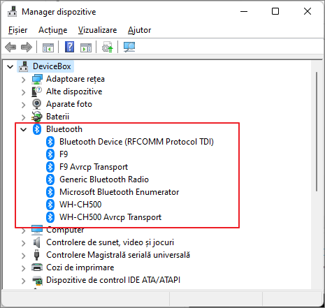 Bluetooth in Manager dispozitive in Windows 11