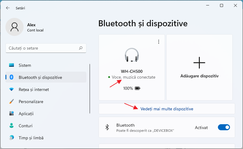 Gestionarea castilor Bluetooth in Windows 11