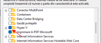 Dezactiveaza Hyper-V in Windows 11