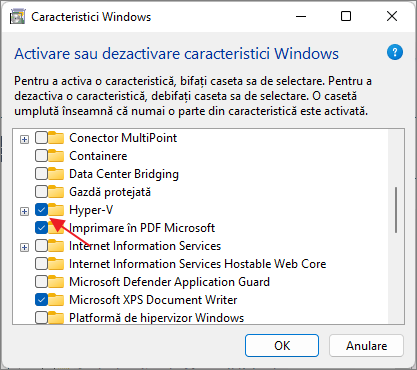 Dezactiveaza Hyper-V in Windows 11