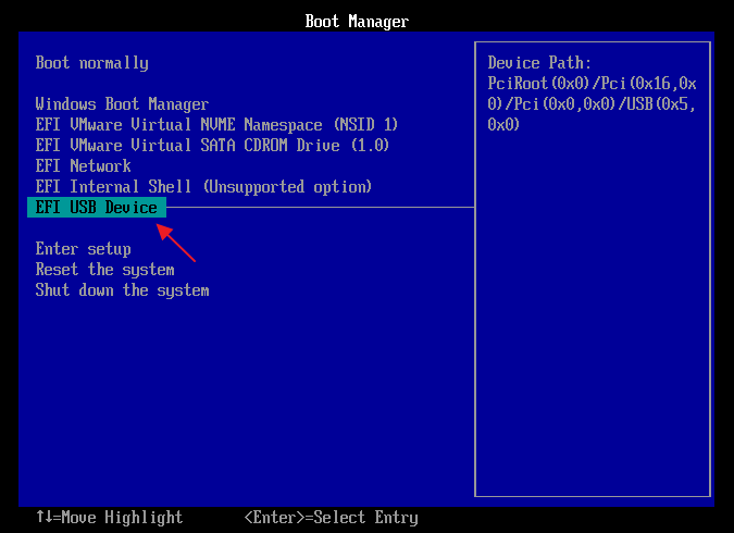 EFI USB Device in VMWare