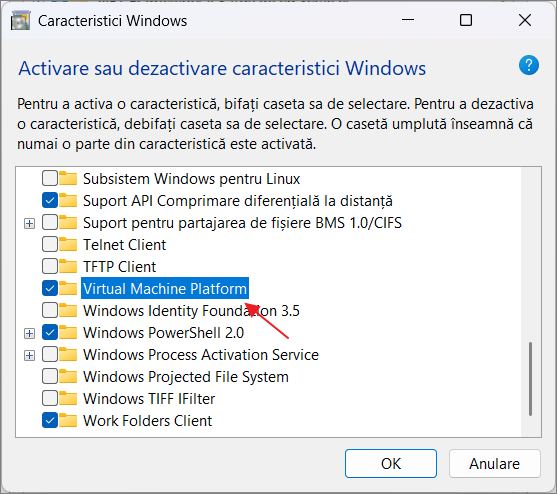 Activeaza platforma masinii virtuale in Windows